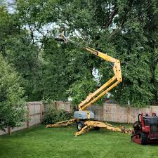 Lawn Grading and Leveling in West Haven, UT